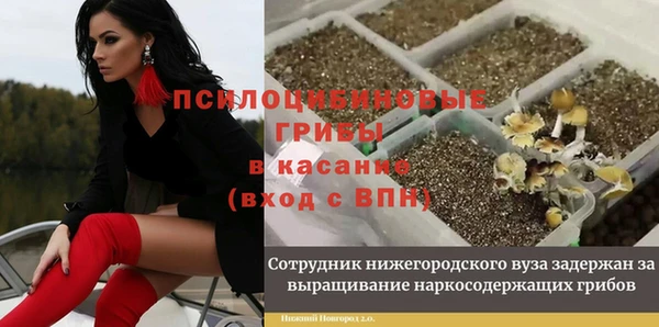 ALPHA PVP Алзамай