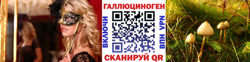 ОМГ ОМГ зеркало  Чистополь  Галлюциногенные грибы GOLDEN TEACHER 
